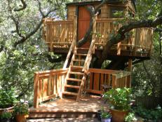 Treehouse Guys - HGTV