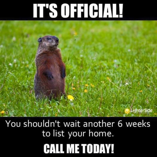 Ground Hog Day 2016 Spring is coming